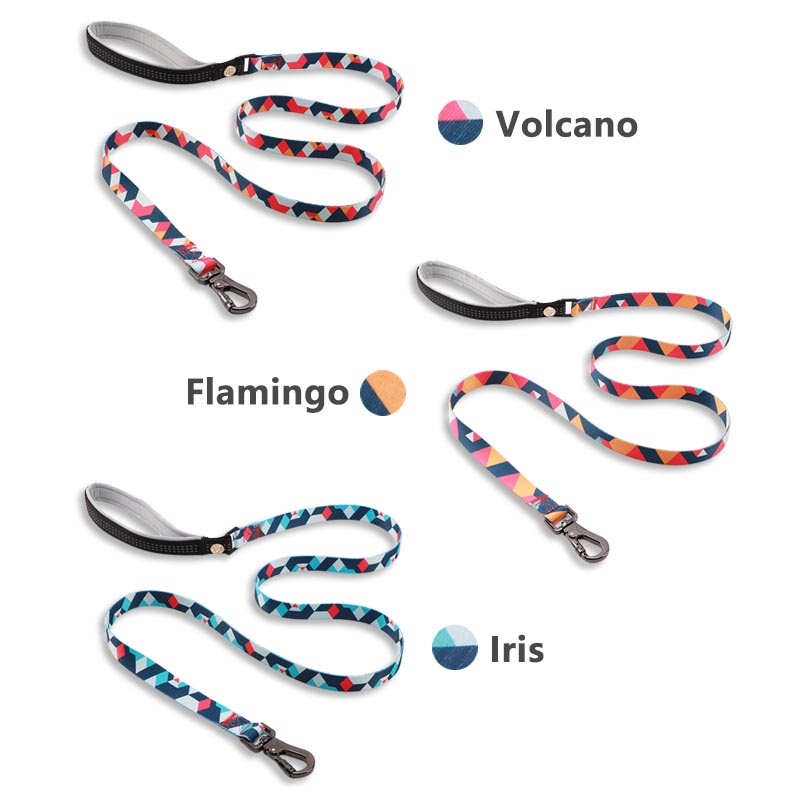 HamshMoc Dây Dắt Thú Cưng Đi Dạo Bằng Nilon Đệm Mềm Với Móc Khóa Họa Tiết Hoa Phản Quang Cho Cún Cưng Cỡ Nhỏ / Vừa / 2