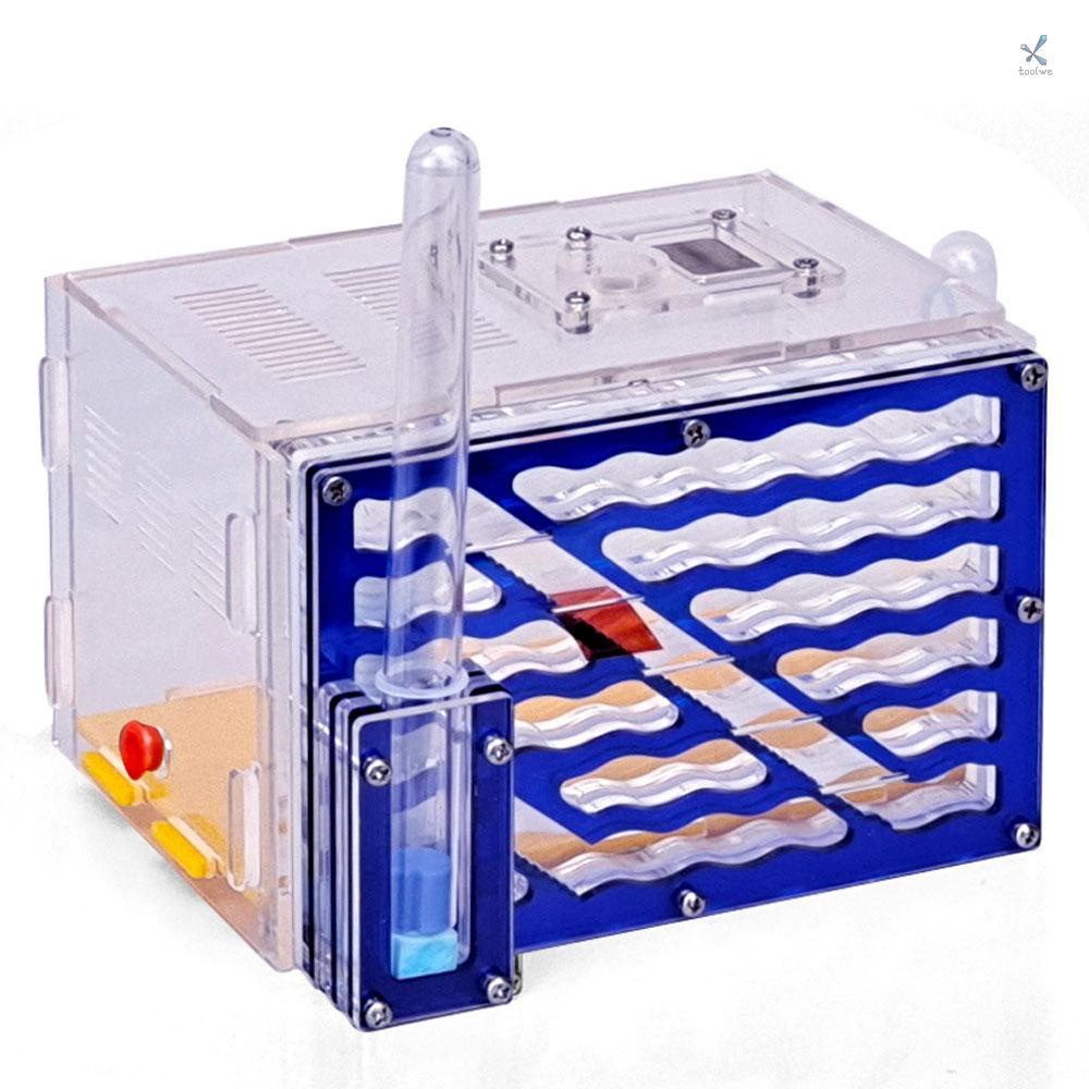 Hộp Nuôi Kiến 5 Tầng CG1233 DIY Làm Quà Tặng Sinh Nhật