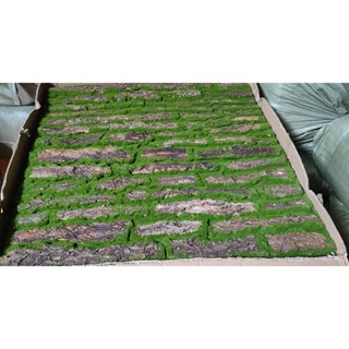 Thảm cỏ rêu gỗ nhân tạo dán tường, trang trí - Tường cây xanh decor