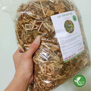 1 Kg Cây tầm bóp ( cây thù lù) Chuẩn phơi khô