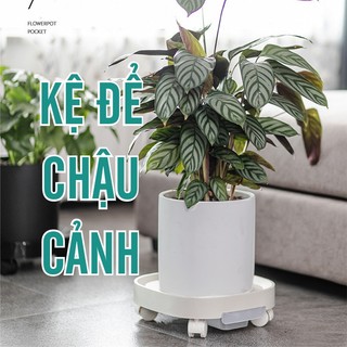 Kệ để chậu cảnh, kệ lót chậu hoa cây cảnh trong nhà, giá đỡ chậu hoa có bánh xe, có khay thoát nước siêu chịu lực