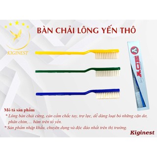 BÀN CHẢI VỆ SINHTỔ YẾN CHẤT LƯỢNG TỐT - SIÊU CỨNG
