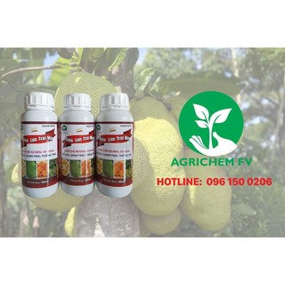 Siêu lớn trái Mít 500ml