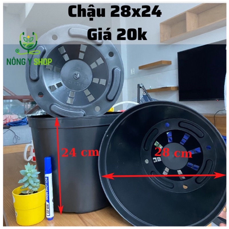 Combo 10 chậu cứng tròn đen size 28-24cm