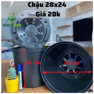 Combo 10 chậu cứng tròn đen size 28-24cm