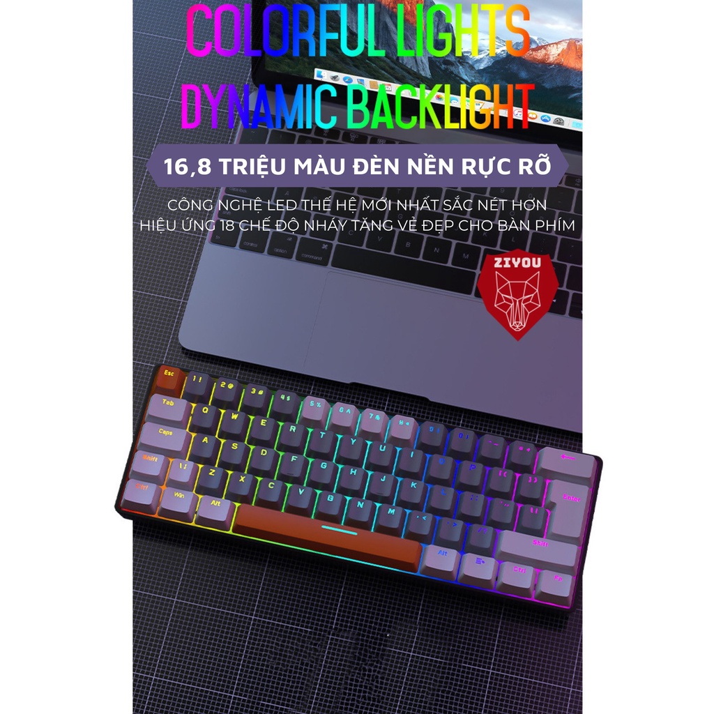 Bàn Phím Cơ Gaming Có Dây Máy Tính Ziyou T60 Multi Light LED RGB 18 Chế Độ Nháy, Red Switch | USB-C | Laptop | PC