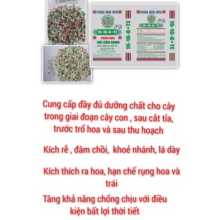 Phân bón npk 16-16-8-te giúp mập nhánh, ra nhiều chồi hoa