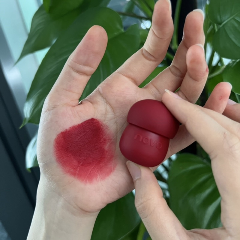 Son kem Novo siêu mịn nắp hình nấm xinh xắn lên màu cực chuẩn ảnh thật shop tự chụp