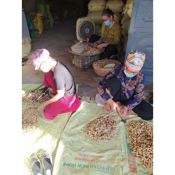 10kg vỏ lạc đậu phộng, giá thể vỏ lạc để trồng cây, trồng lan.