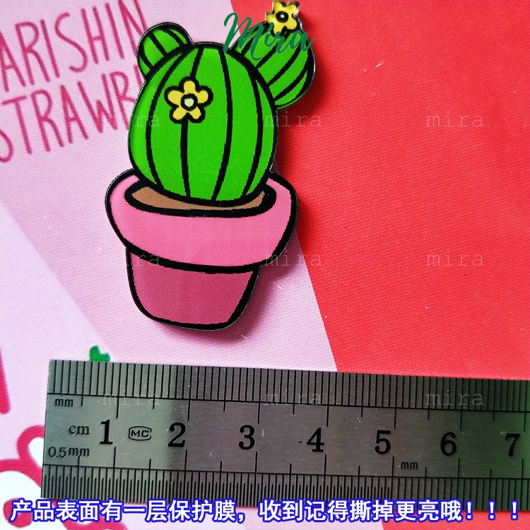 Ghim Cài Icon Cây Xương Rồng, Huy Hiệu Acrylic, Pin Cài Áo, Trâm Balo Đi Học Cực Cute MIRA-GC00837