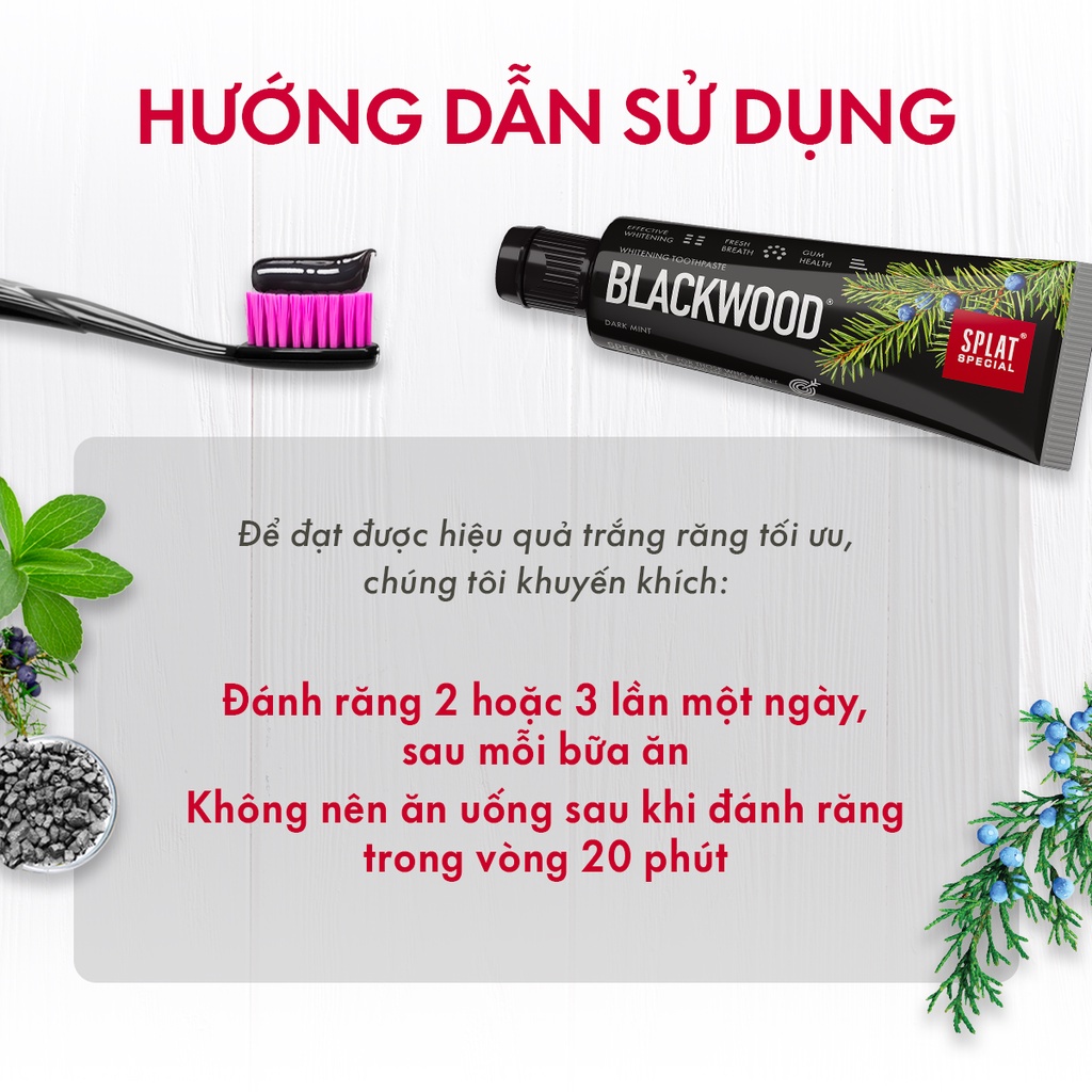 Kem Đánh Răng SPLAT Blackwood Special series Chiết Xuất Quả Bách Xù Giúp Thơm Miệng Và Làm Trắng Răng An Toàn 20ml