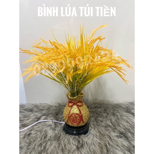 BÌNH BÔNG LÚA TÚI TIỀN VỀ HÀNG, BÌNH BÔNG LÚA TÚI TIỀN TRANG TRÍ NHÀ CỬA