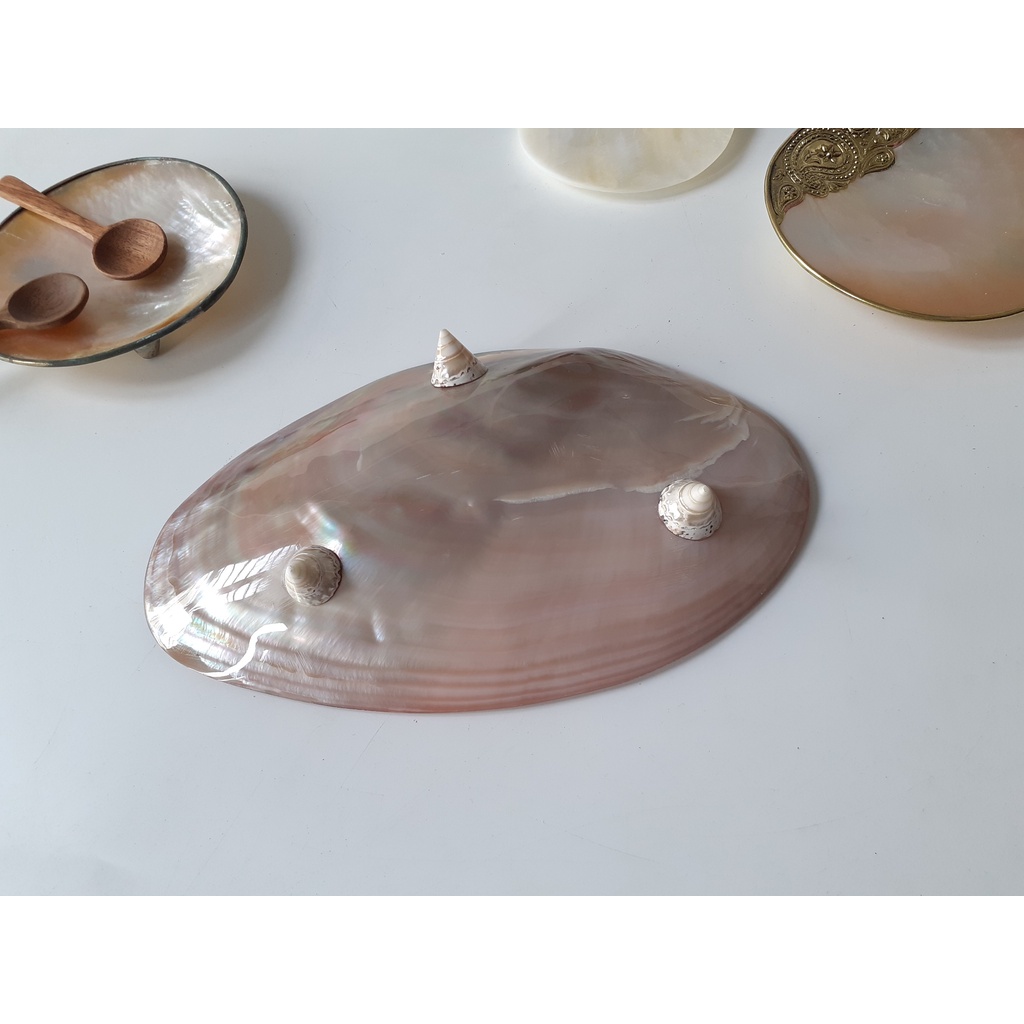 Đĩa trai hồng, đĩa xác đen, xác vàng Diềm Mạ Niken màu Vàng