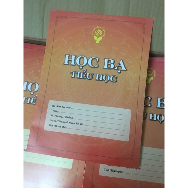 Học bạ tiểu học thông tư 27