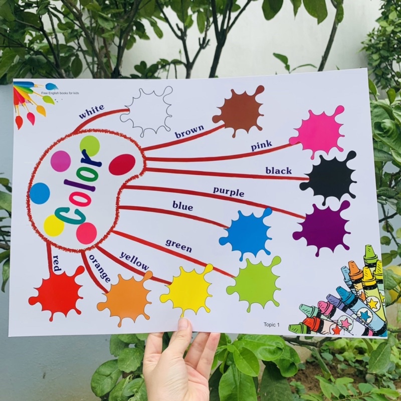 Sơ đồ tư duy Mindmap kích thước A3 11 chủ đề phủ bóng bìa cứng cho bé học tiếng Anh