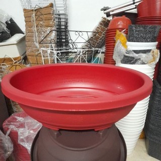 Chậu nhựa Hình Oval, chậu trồng cây, Chậu Tạo Dáng cây Bonsai, Chậu Tiểu Cảnh