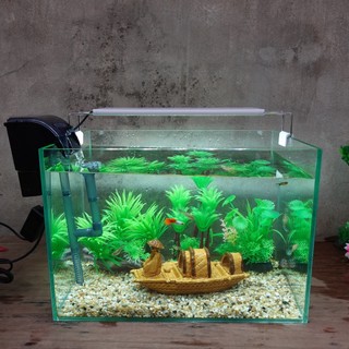 Set bể cá 35 cm với 7 món , phụ kiện sứ to)