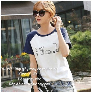 RN387_Rập giấy may áo thun raglan nữ