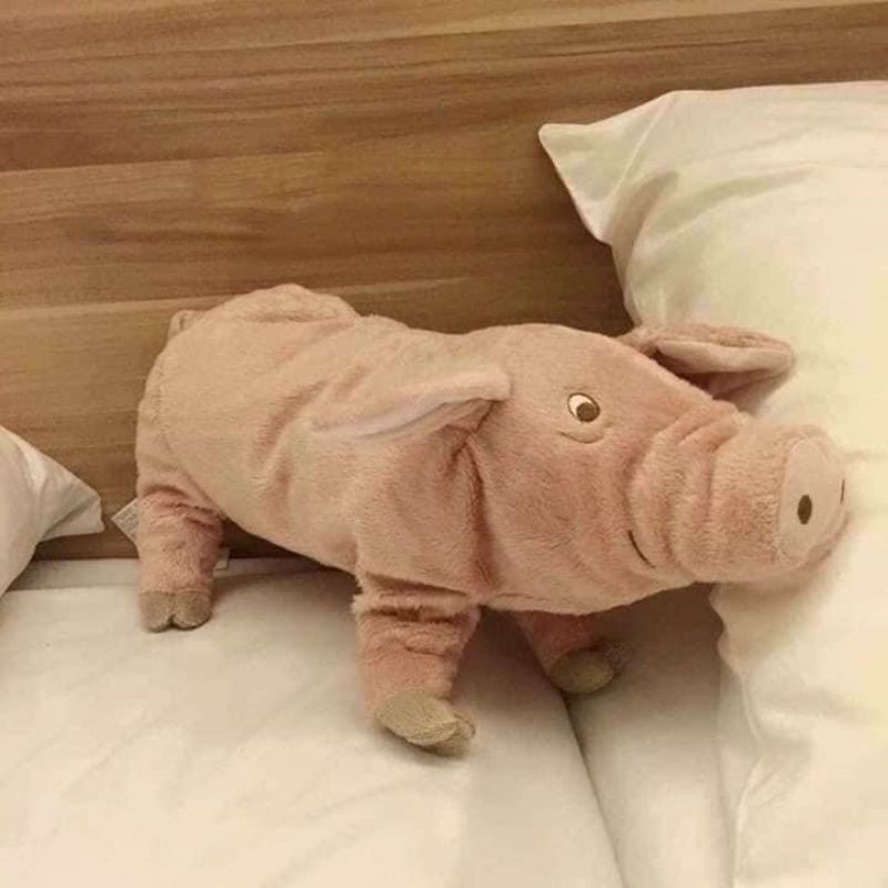 Heo bông Ikea Thái Lan