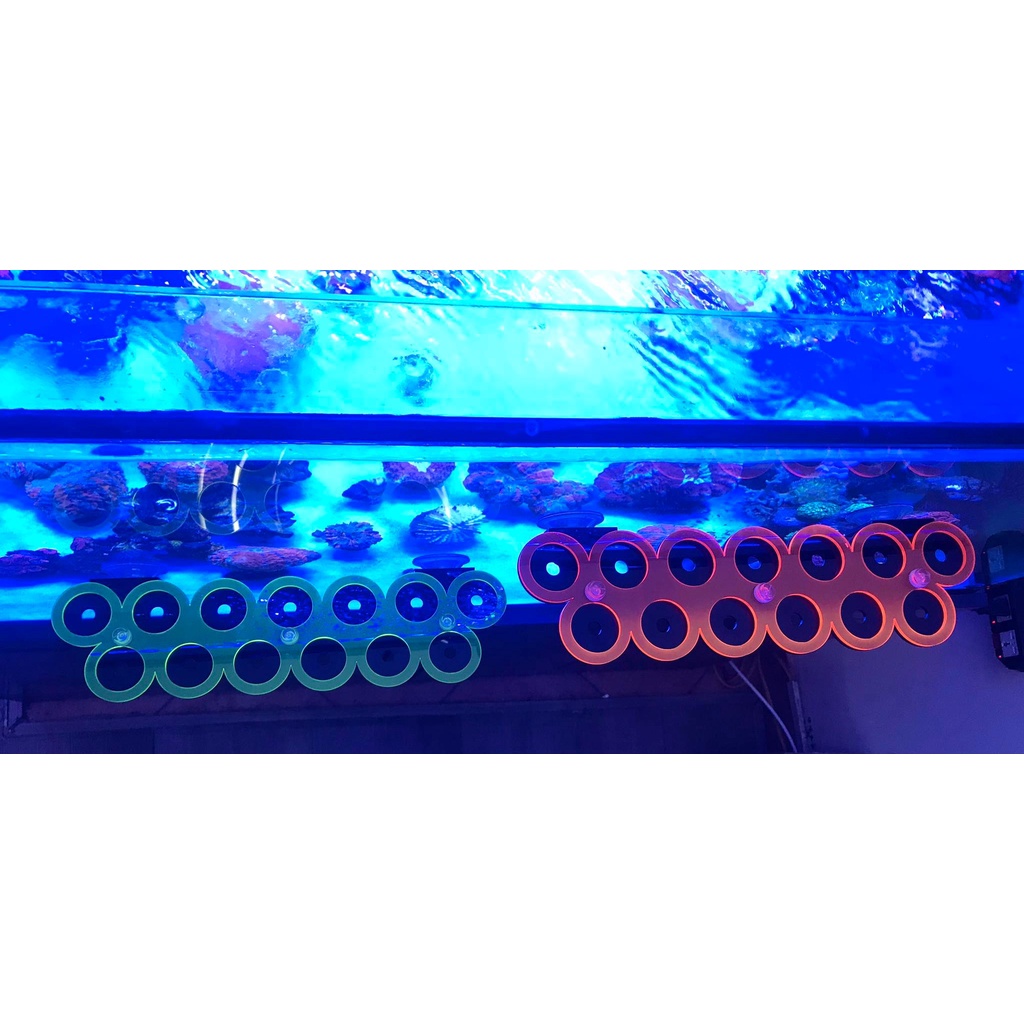 Giá đỡ frag san hô phản quang ( Có hít nam châm ) gắn thành bể cá biển