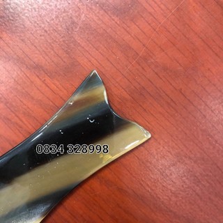 Masage con cá diện chẩn