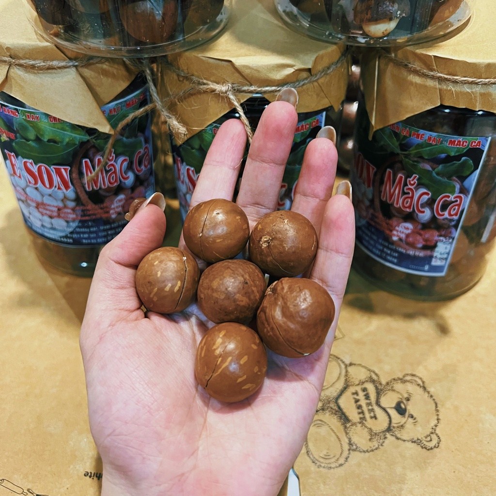 Hạt Macca sấy Đak Lak