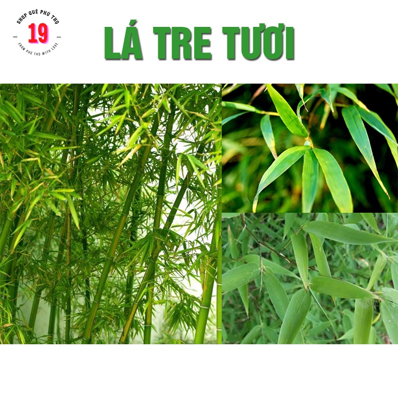 200g Lá Tre Tươi (Tre Gai) Tự Nhiên Dùng Làm Lá Tắm...