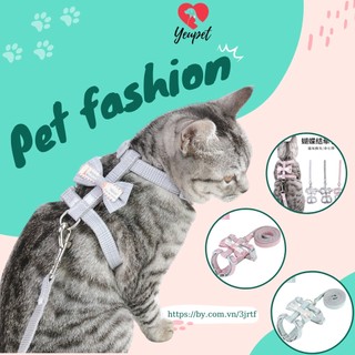 Dây dắt mèo đi dạo hình chú gấu - yếm dắt mèo 3 màu dễ thương, sang chảnh YEUPET PKCM35