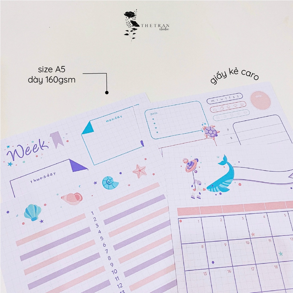 Bộ 4 tờ ghi chú kế hoạch hàng ngày tuần tháng A5 chủ đề đại dương / ocean planner / thetranstudio