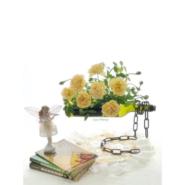 BÌNH HOA MAGIC ĐỘC ĐÁO