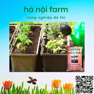 1kg đất tribat trồng rau