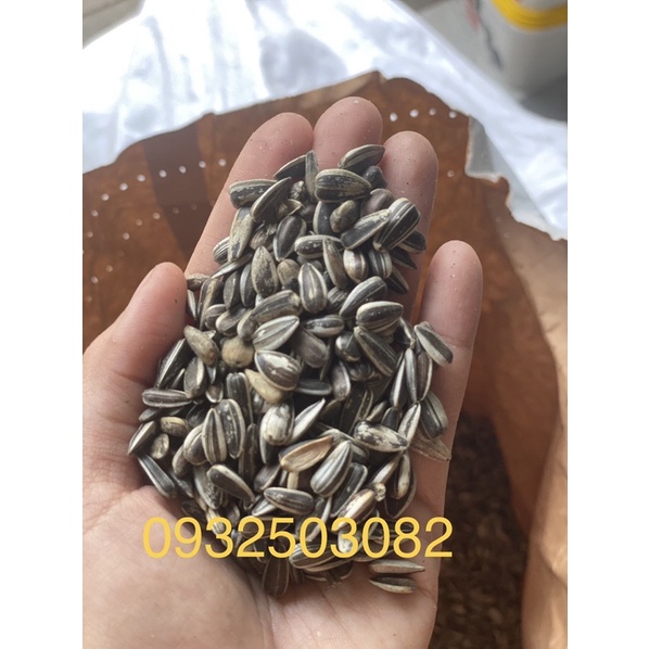Hạt Hướng Dương Bỉ Hạt Nhỏ 500gr
