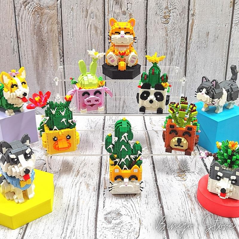 BỘ SƯU TẬP MÔ HÌNH LẮP RÁP CHẬU CÂY SIÊU HẤP DẪN