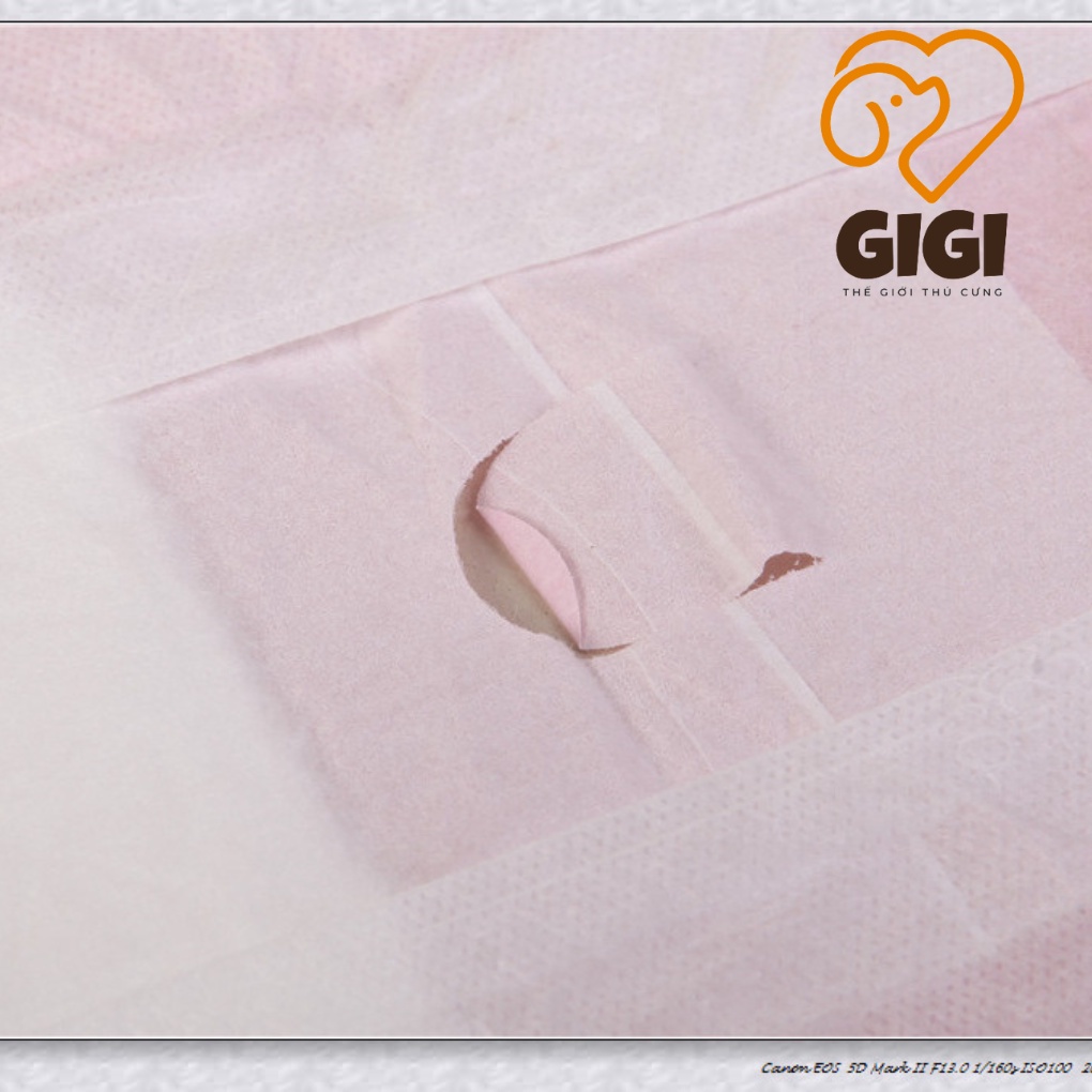 Bỉm Dono cho chó mèo đực và cái nhiều size co giãn mềm mại siêu nhẹ thấm hút cao phụ kiện thú cưng - GiGi Pet Shop