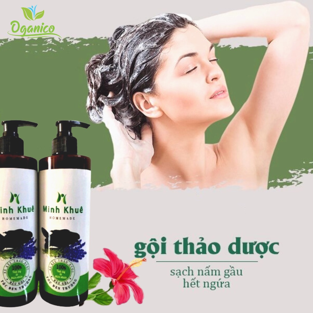 Dầu gội thảo dược thiên nhiên bồ kết bưởi cô đặc organic handmade tự nấu thủ công dưỡng ngăn ngừa rụng tóc OGANICO 3