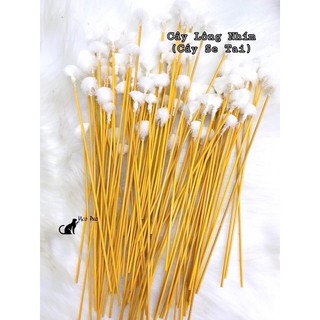 bông se tai ( lông nhím) combo 3 cây t