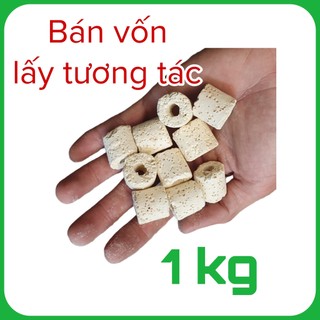 Sứ nhẫn trắng loại tốt 1kg, sứ lổ lọc nước bể cá