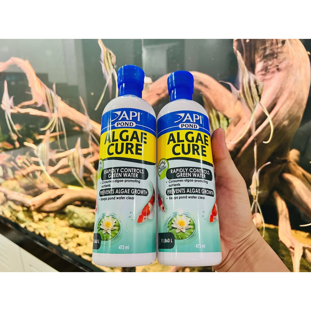 API Algae Cure - Nguyên Seal - Công nghệ Hóa Sinh tiêu diệt rêu tảo hại, làm nước siêu trong, giảm bụi siêu hiệu quả
