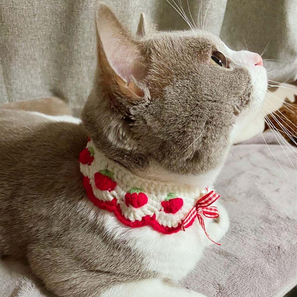 [COD] Vòng Cổ Len Đan Dễ Thương Dành Cho Thú Cưng