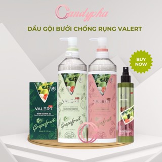 Dầu gội xả bưởi Grapefruit Valert 850ML * 2 chống rụng kích thích mọc tóc suôn mềm mượt cam kết hàng chính hãng