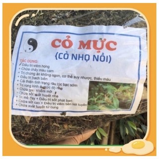 Cây nhọ nhồi khô 1kg