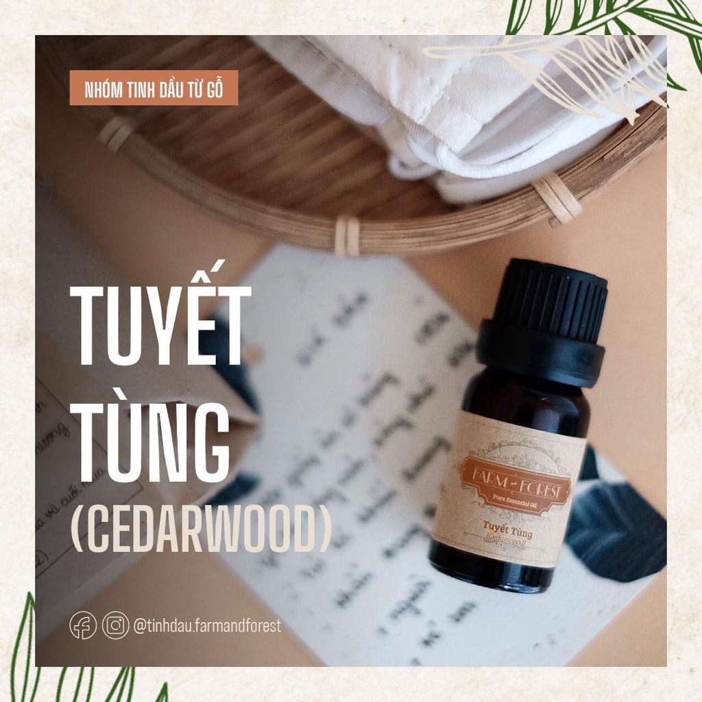 Tinh Dầu Gỗ Tuyết Tùng 10ml, Tinh Dầu Thiên Nhiên Nguyên Chất, Farm & Forest, Giảm Stress, Thư Giãn, Trầm Lắng