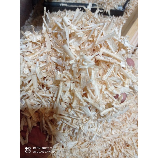 Mùn cưa gỗ Thông mùn thơm tự nhiên lót chuồng cho hamster , nhím , sóc