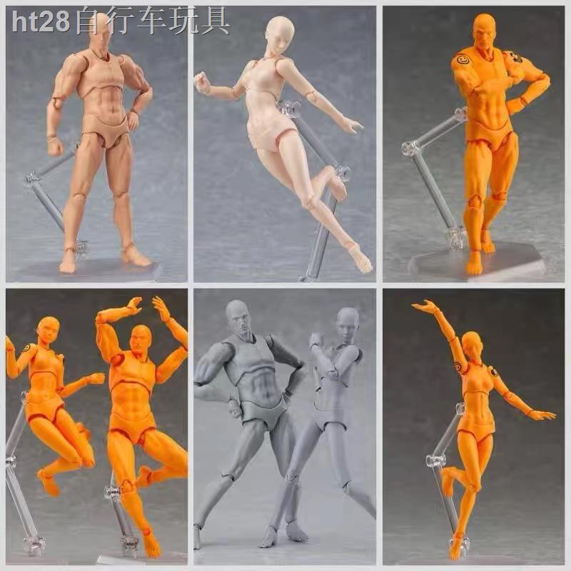 HT SHF cơ thể con người mô hình nghệ thuật vẽ tranh tham khảo đàn ông và phụ nữ công cụ đồ trang trí Figma doanh búp bê