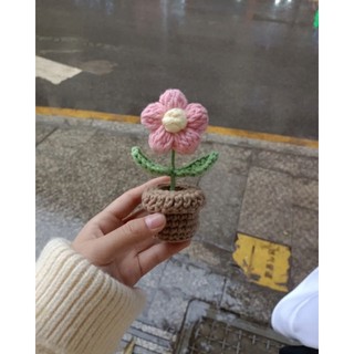 Chậu Hoa Len Mini Handmade