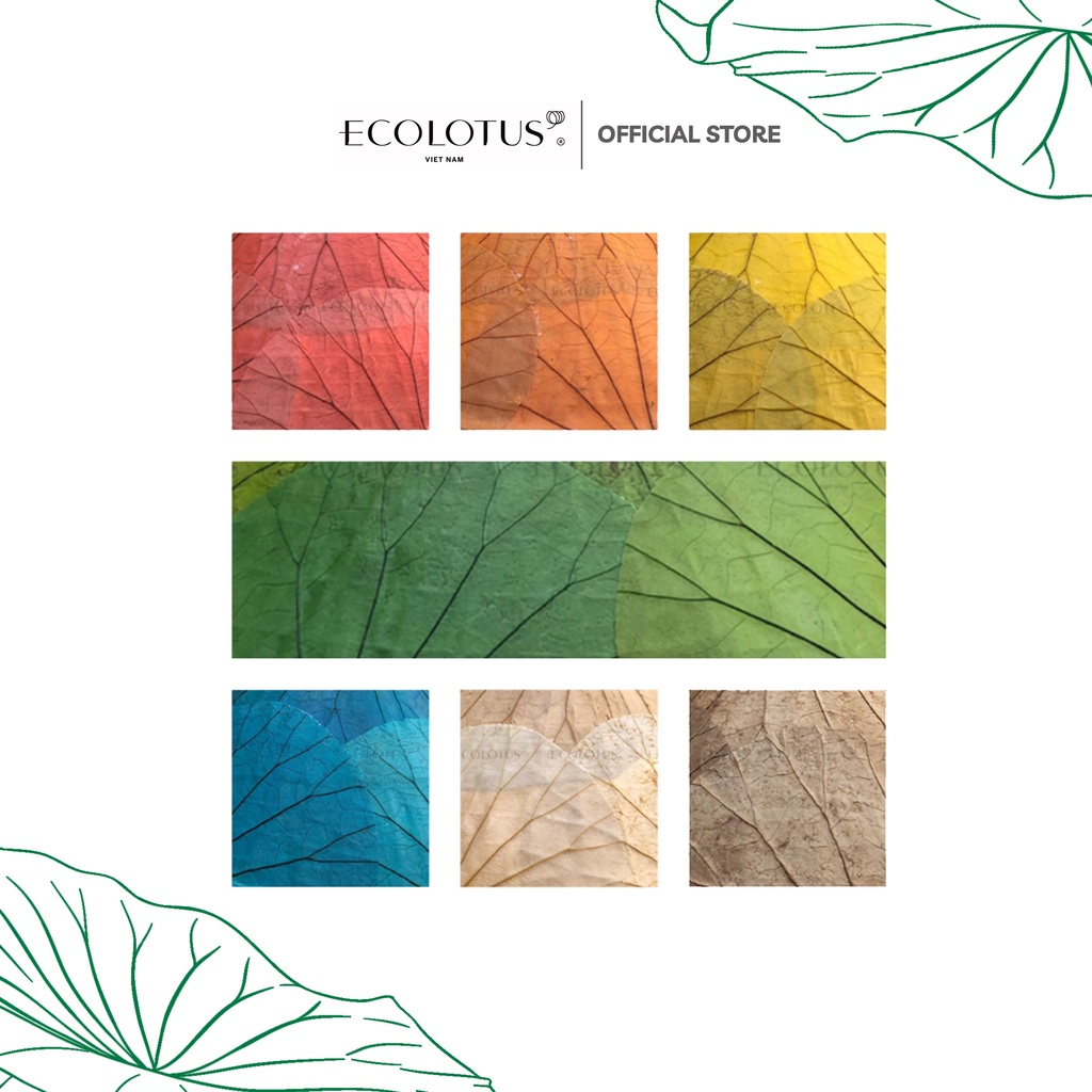 Quạt Cổ Trang, Quạt Cầm Tay Hình Chiếc Lá Sen ECOLOTUS, Ngang 30 X 25Cm