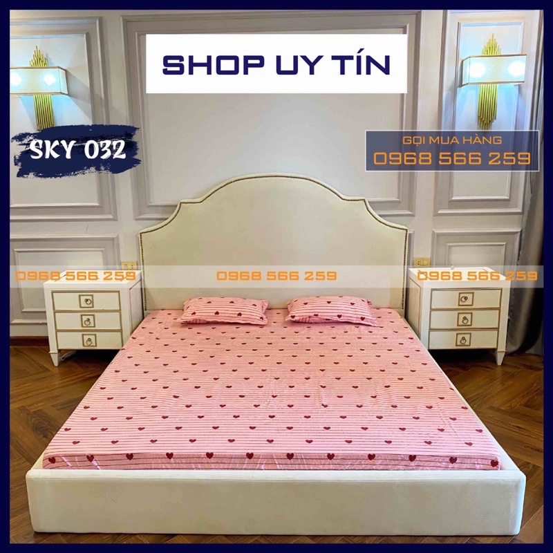 Bộ Ga gối chun cotton poly đủ kích thước
