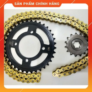 Nhông sên dĩa Sirius, nhông dĩa đen - sên vàng