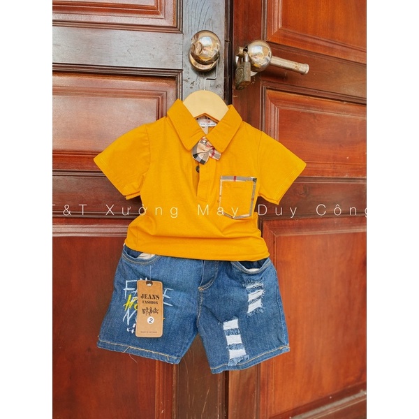 Áo thun cho trẻ em 8-18kg , mẫu Polo cổ đức cho bé trai