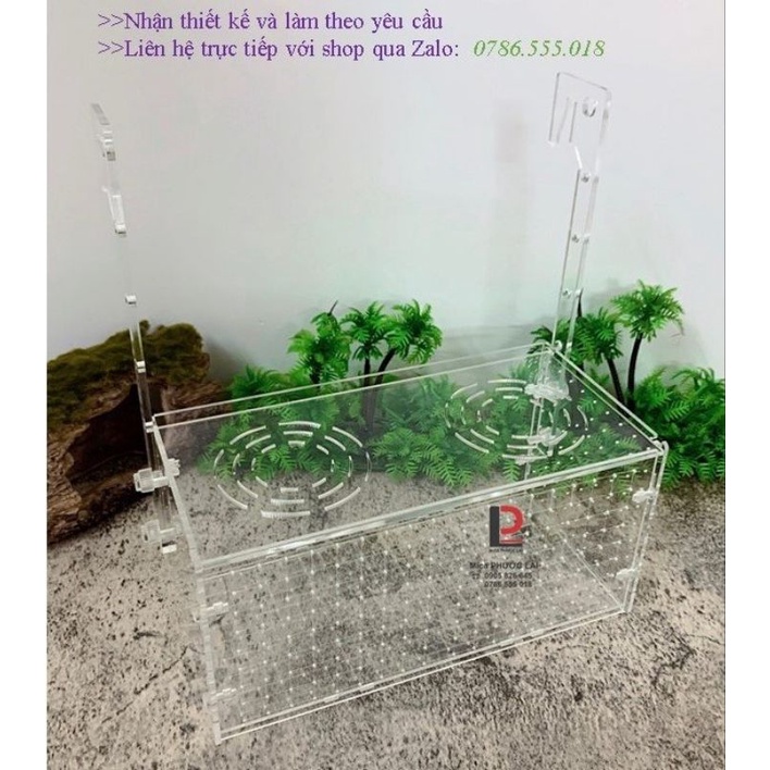 Box dưỡng tép - cá acrylic kẻ vạch cao cấp
